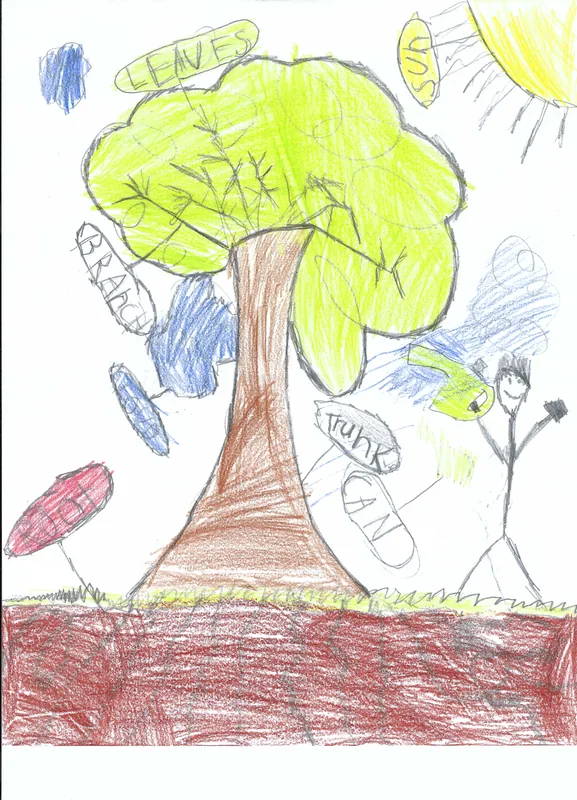 Colored pencil drawing of a tree with labeled leaves, branches, and trunk